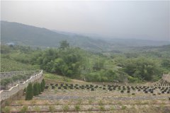 2023年重庆市寺坪陵园清明节祭扫交通路线及祭扫公告？
