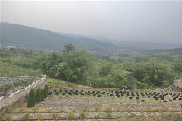 绿化
