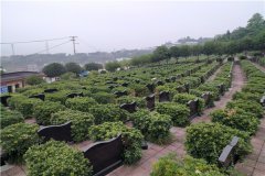 2023年福果山生命纪念园价格多少钱？