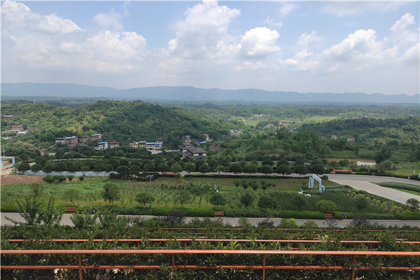 绿化风景