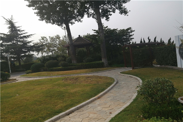 绿化风景