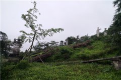 南川区佛灵寺陵园地址在哪？价格及电话多少？