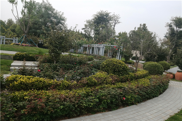 邙山公墓绿化环境