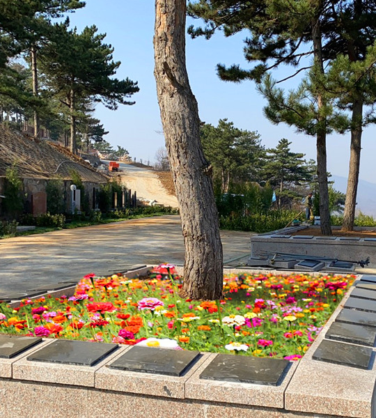 永宁陵园花坛葬7800元