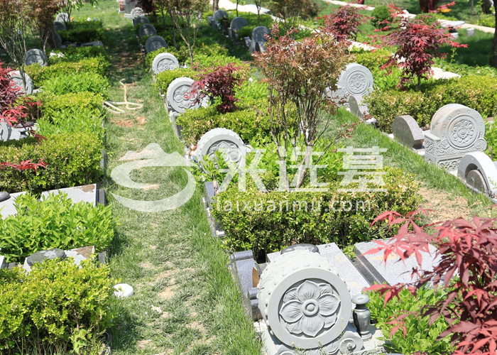 九公山长城纪念林树葬墓型