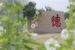 2023华龙皇家陵园墓地价格表