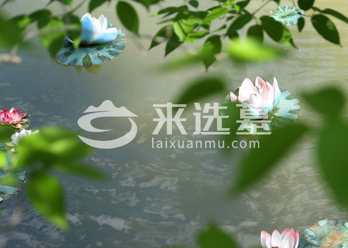 景仰园陵园园区环境