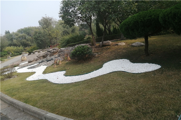 黄河陵园绿化景观