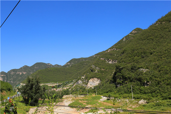 绿化环境
