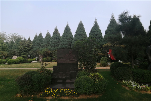 绿化草地