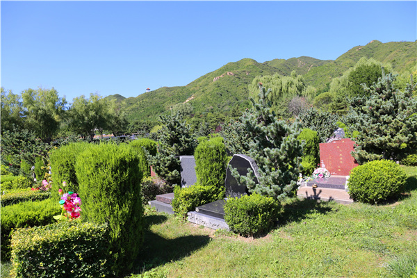 陵园绿化景观