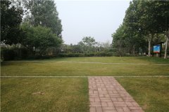 新乡市公墓哪个好？新乡墓地价格一览表