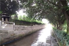 龙台山陵园和龙居山陵园哪个好？价格目前多少钱