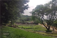 在重庆金竹山公墓选墓经历,当时选的价格为3600元壁葬