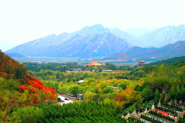 景仰园陵园环境