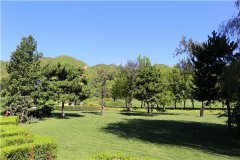 北京海葬业务：北京海葬一对一价格多少钱、地址、电话