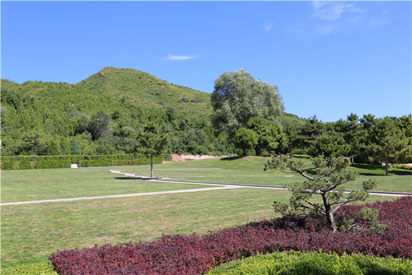 绿化风景
