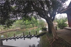 重庆江北区寺坪陵园墓价格起步多少钱？墓地价格一览表