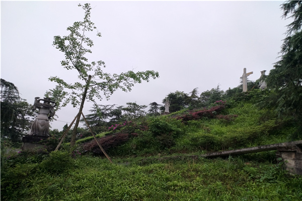 绿化风景