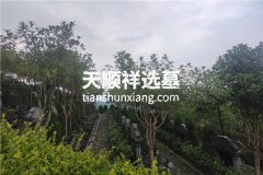 重庆金银山公墓价格起步多少？2023价格表最新