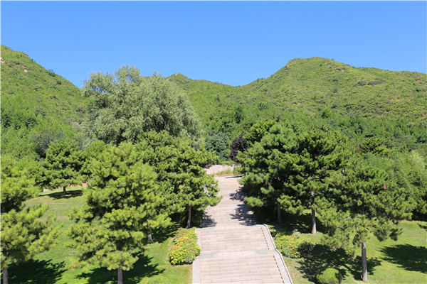绿化景观