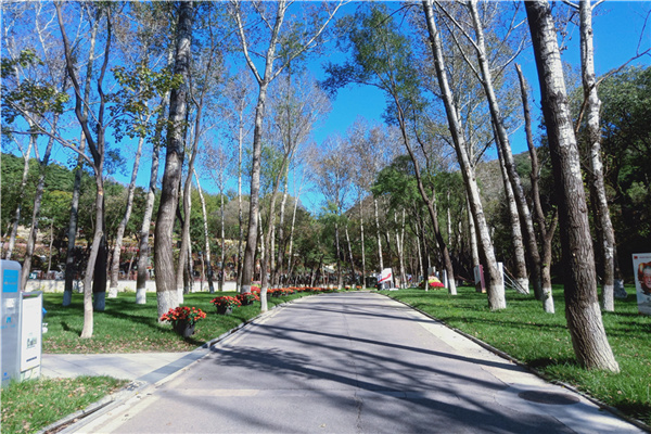 延庆墓地道路