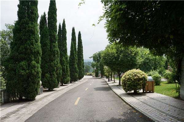 龙居山陵园道路