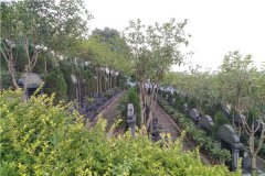 重庆江津福山陵园怎么样？价格、位置、合法