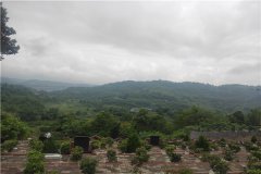 重庆江津千福山陵园怎么样？价格、位置、合法