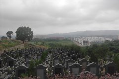 重庆渝天合陵园怎么样？价格、位置、合法