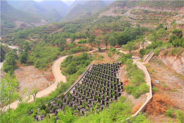 房山墓地
