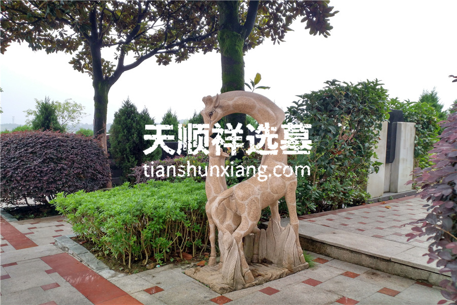 陵园环境一角