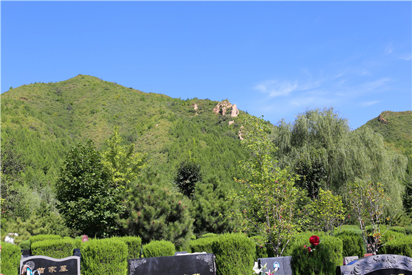 绿化风景