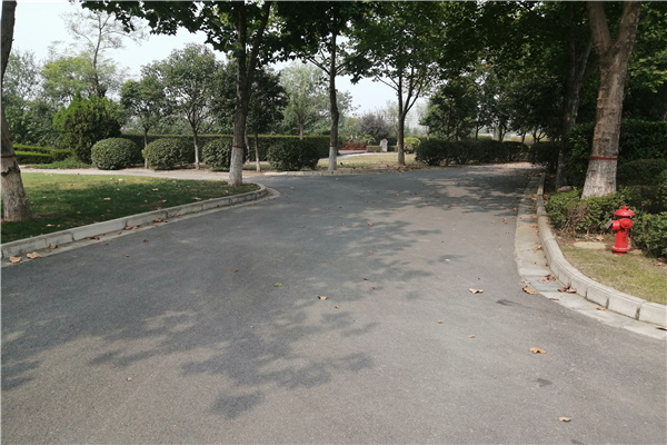 道路风景