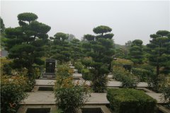 郑州荥阳公墓介绍-荥阳青龙岗墓园地址、合法、简介