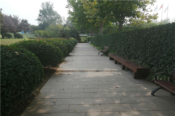 道路风景 道路风景
