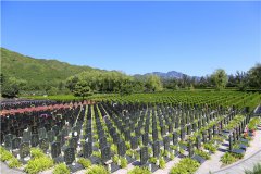 北京海淀、朝阳、丰台还有出售墓地的吗？2023年最新价格多少