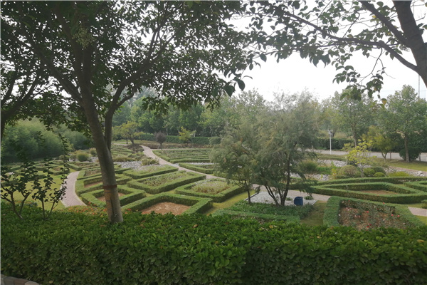 绿化风景