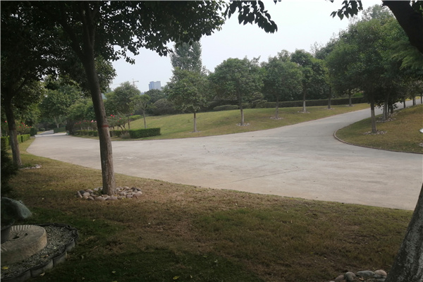 道路景观