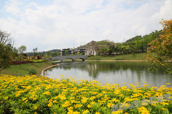 陵园风景