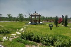 廊坊清颐园公墓生态几个墓碑,价格分别是多少钱
