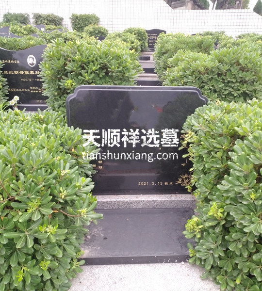 选的墓碑