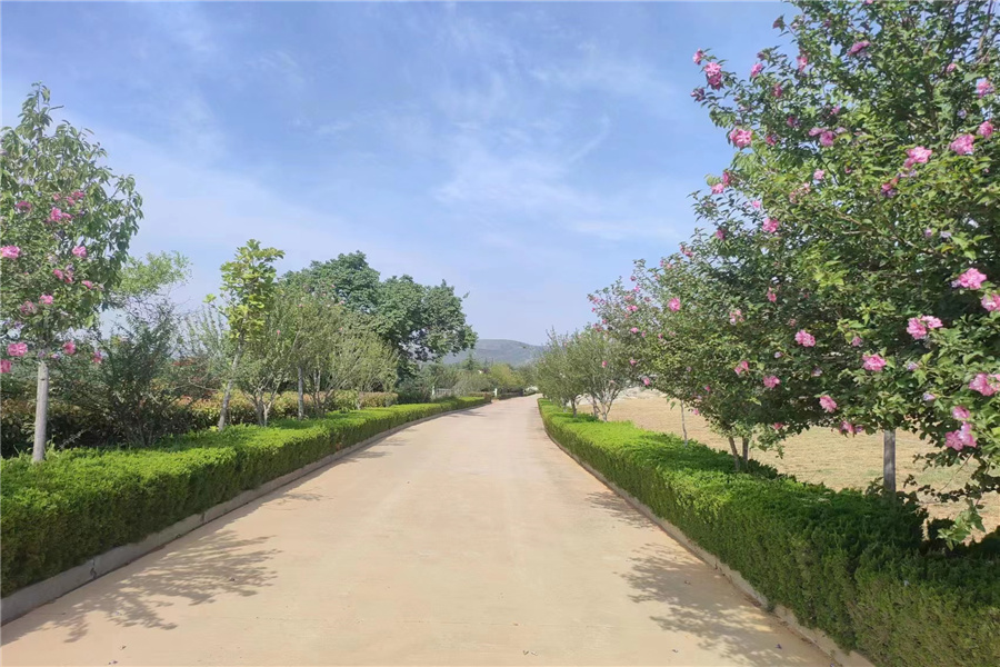 道路风景