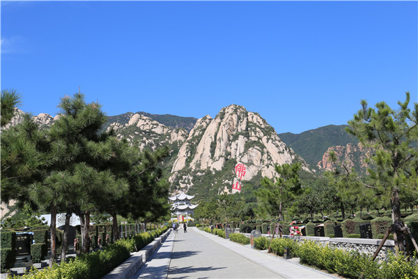 道路风景