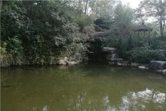 河南新乡墓地-中原文化艺术陵园和龙居山陵园简介、价格多少