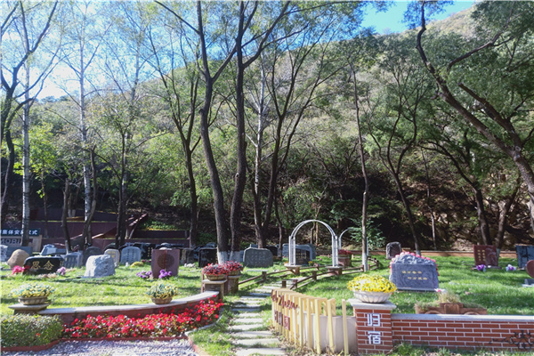 八达岭陵园绿化景观