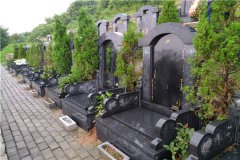 重庆北培区墓地-龙车寺塔陵园和天赋陵园简介、价格是多少