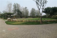 河南中牟县墓地-中牟黄龙岗陵园价格、简介、位置