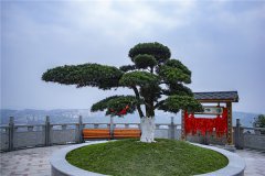 重庆江津区墓地-千福山陵园和凤凰山人文纪念园简介、价格多少