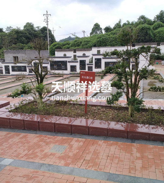 陵园树葬